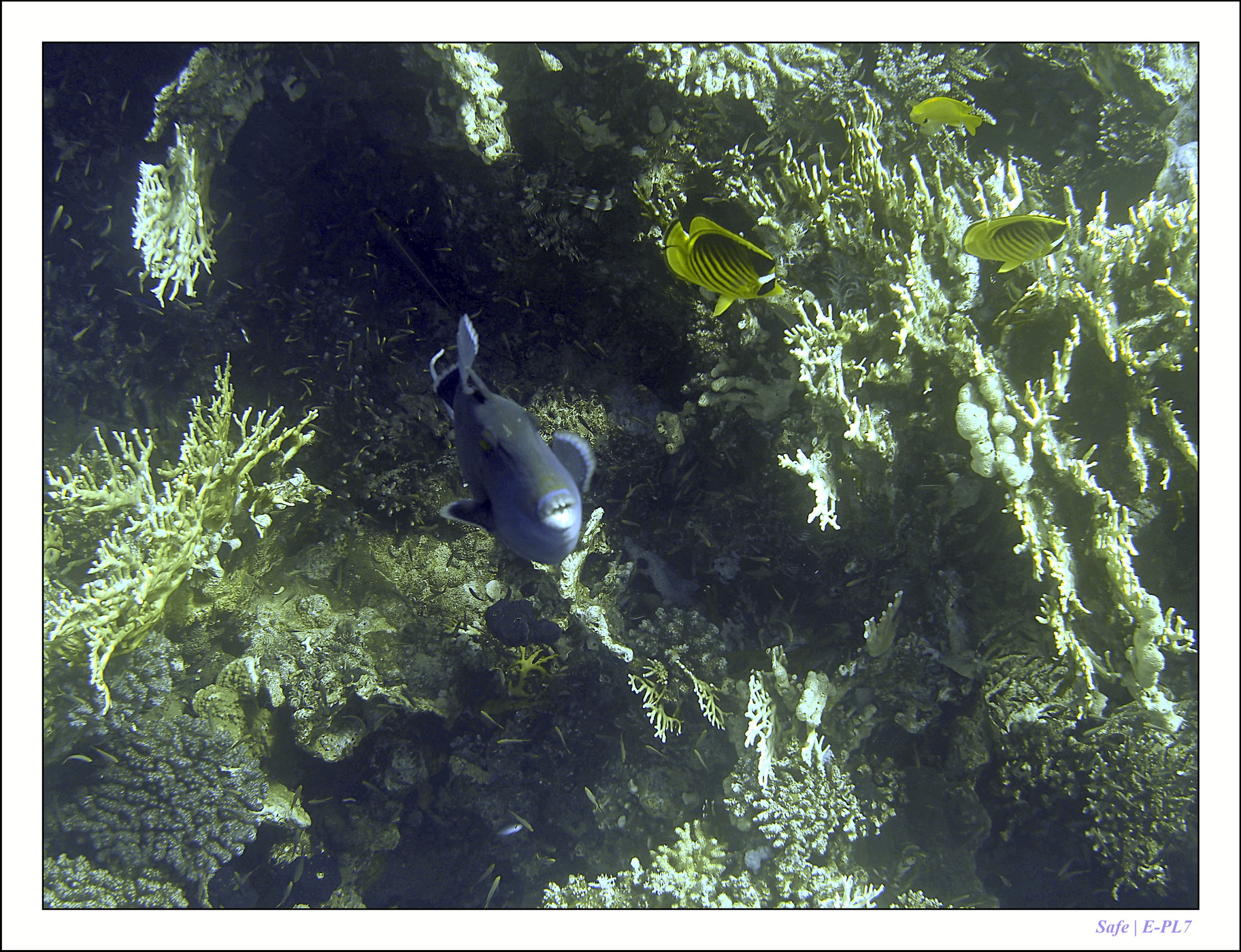 2023 - 03 - Charm El Sheikh - 51